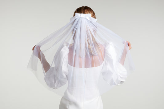 The Ariana Veil